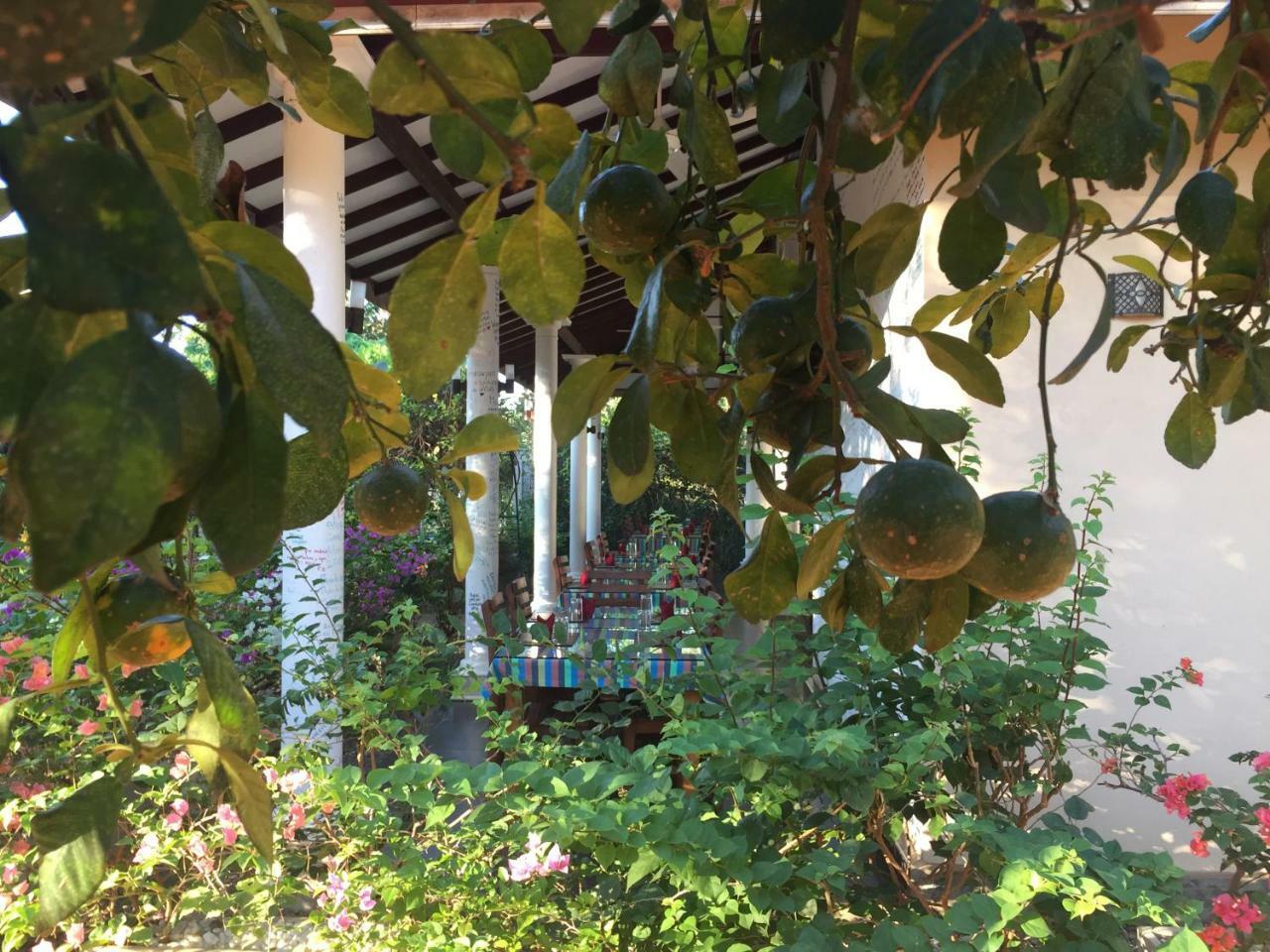 Hotel Goddess Garden Sigiriya Exterior foto